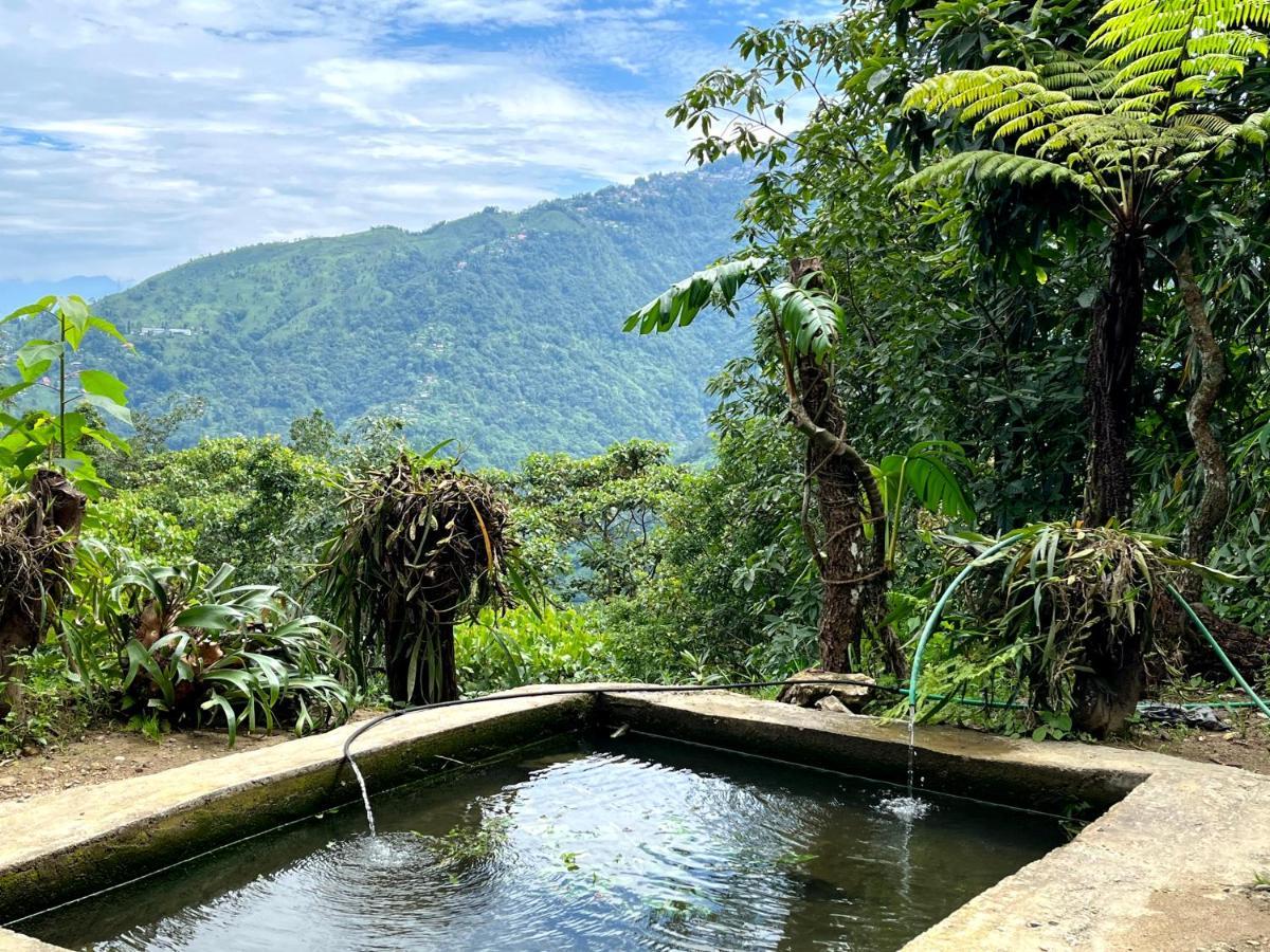 Hosanna Homestay Darjeeling  Dış mekan fotoğraf