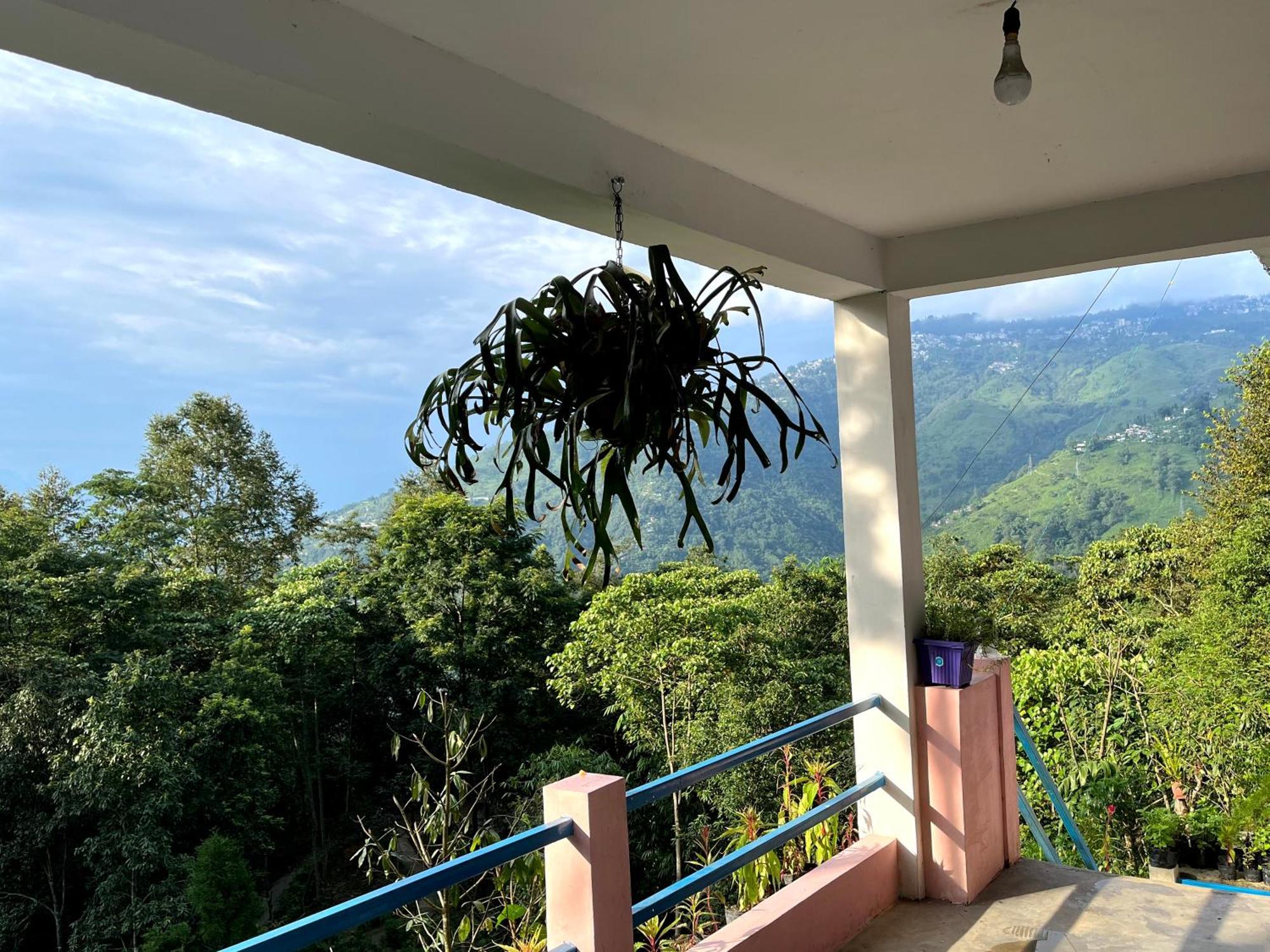 Hosanna Homestay Darjeeling  Dış mekan fotoğraf
