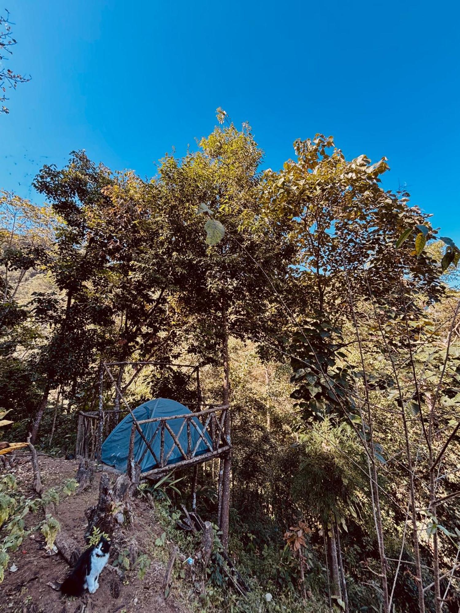 Hosanna Homestay Darjeeling  Dış mekan fotoğraf